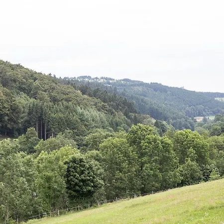 Ruhenest 아파트 빌링겐